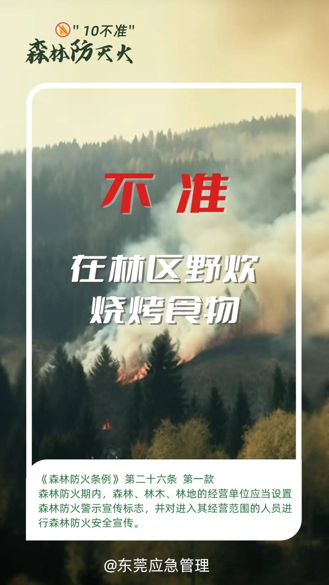 深圳坪山区突发山火<strong></p>
<p>插针</strong>，最新通报：明火已扑灭，无人员伤亡