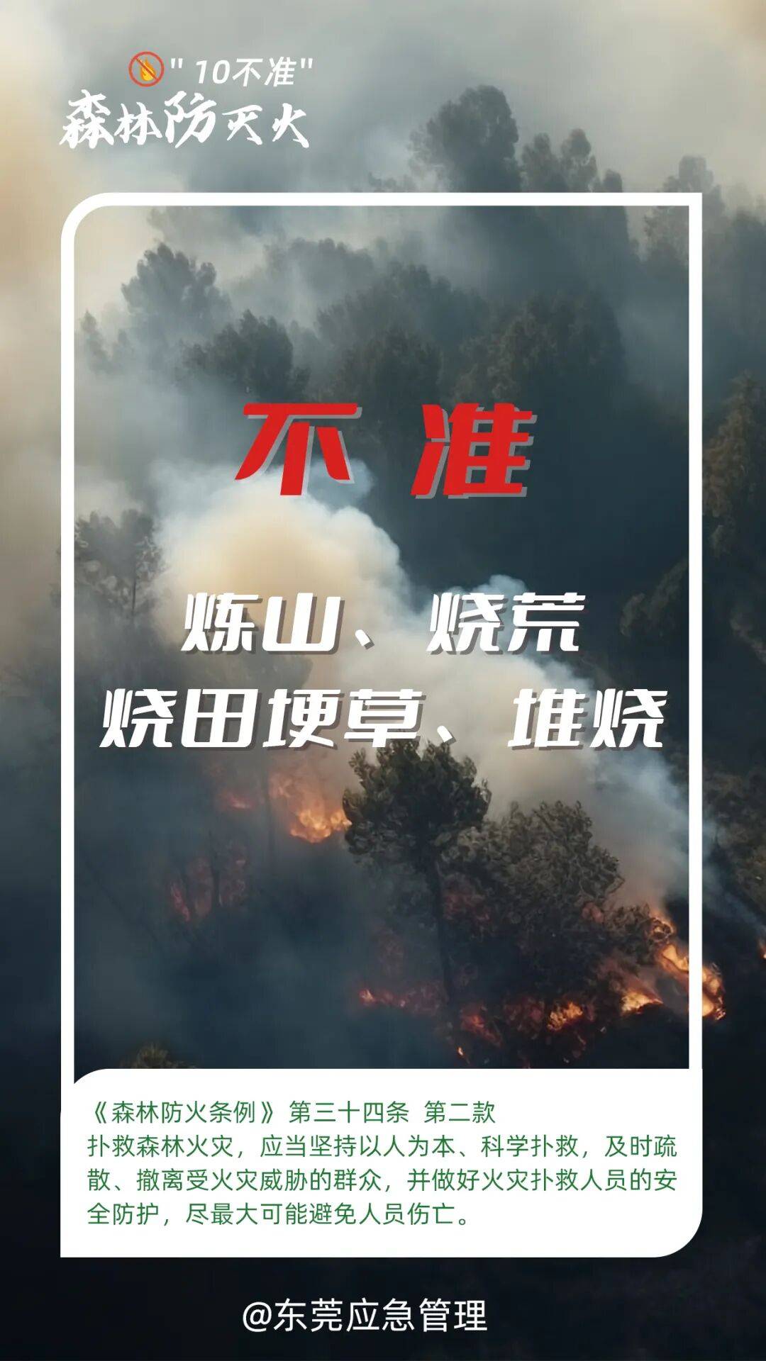 深圳坪山区突发山火<strong></p>
<p>插针</strong>，最新通报：明火已扑灭，无人员伤亡